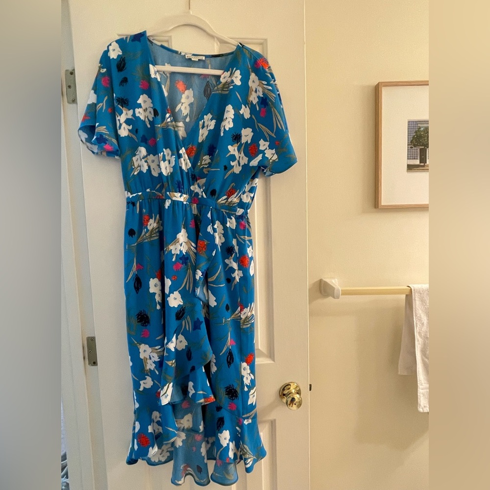 J. Crew Dress - blue floral